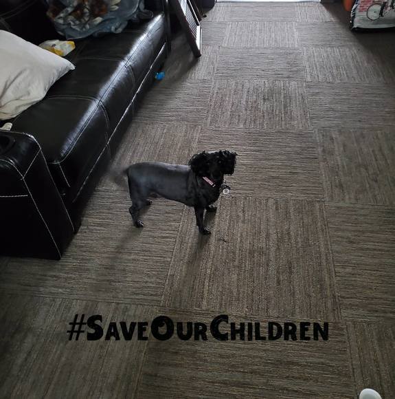 Meet your Posher, Nessa - Picture 1 of 1